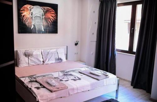 Sandanski Apartamento | Medius Park Apartment