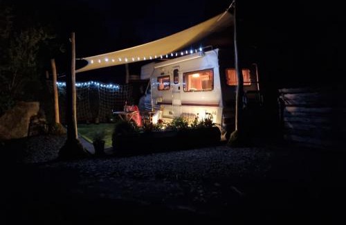 Crymych Otro | Mehefin Coed c/o llwyn Celyn