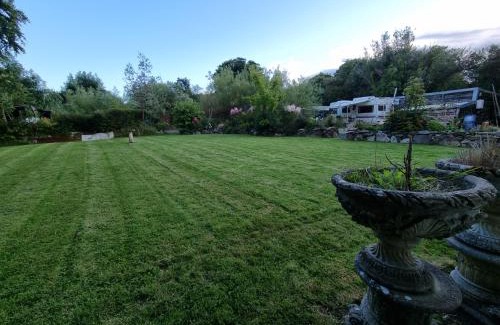 Crymych Otro | Mehefin Coed c/o llwyn Celyn