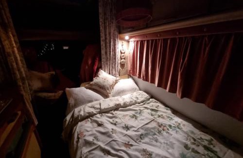 Crymych Otro | Mehefin Coed c/o llwyn Celyn