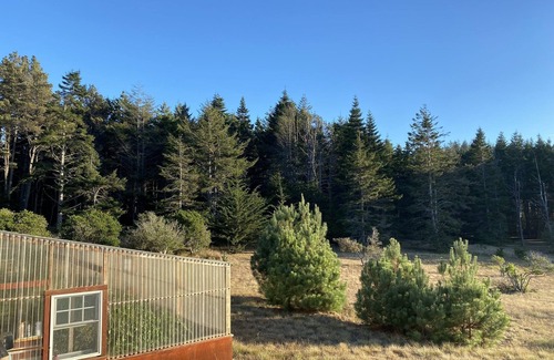 Mendocino Casa | MENDOCINO LUXURY OCEAN VIEW COASTAL ESTATE, DOG FRIENDLY, 1 MILE TO VILLAGE!