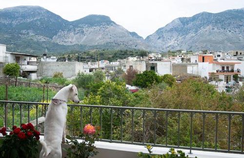 Zaros Casa | Merastri Villa