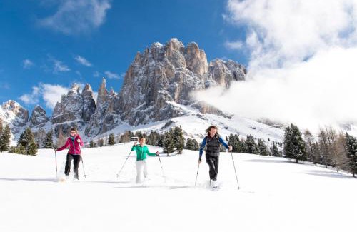 Tires Apartamento | Messner Hof