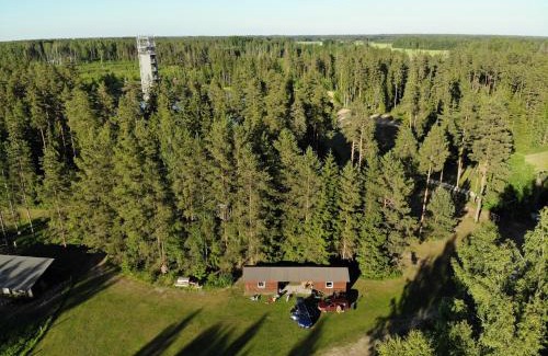 Puskaru Apartamento | Metsjärve apartments