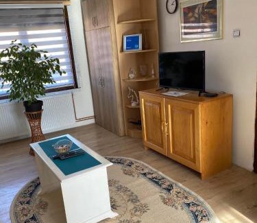 Pirot Apartamento | Mićin dom
