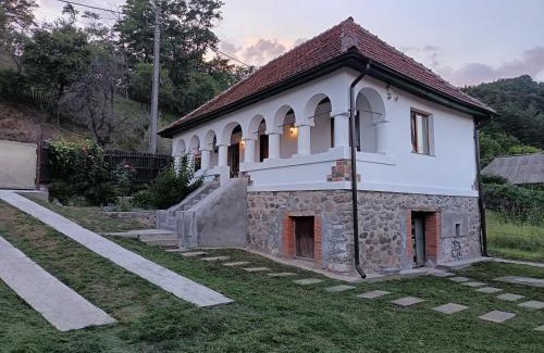 Oestii Paminteni Chalet De Esquí | Micul Conac