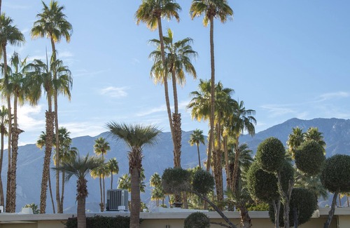Araby Commons Condominio | Condominio Mid Century de 3 habitaciones en South Palm Springs