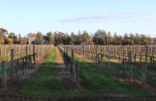 Milawa Casa | Milawa Vineyard Views - Guesthouse 1