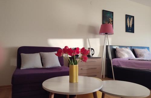 Ohrid Apartamento | Million dollar lake view!