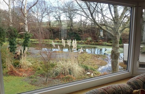 Machynlleth Chalet De Esquí | Millpond Chalet Retreat in Machynlleth