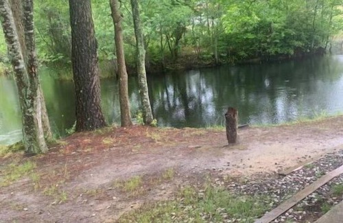 Allen Cabina | Mini Cabin 5 Near Ocean City & Assateague