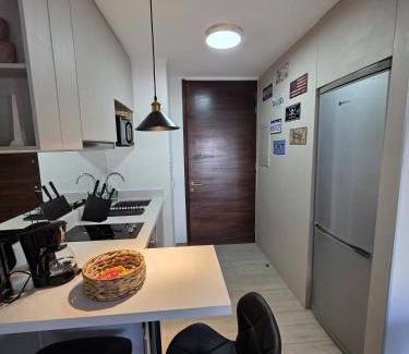 Macul Apartamento | Mini Loft Santiago
