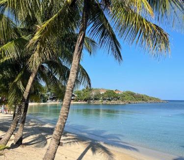 Antoneys Cay Casa | Mini suite