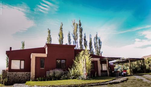 Cachi Cabina | Miraluna Bodega Boutique