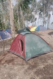Musanze Otro | Mist Rwanda Stay Inn