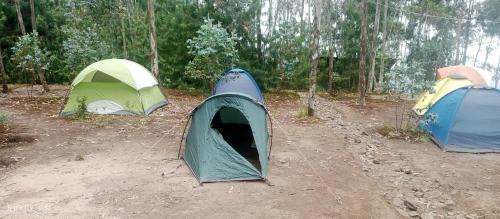 Musanze Otro | Mist Rwanda Stay Inn