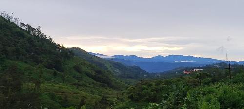 Peermade Casa | Misty cloud homestay
