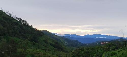 Peermade Casa | Misty cloud homestay