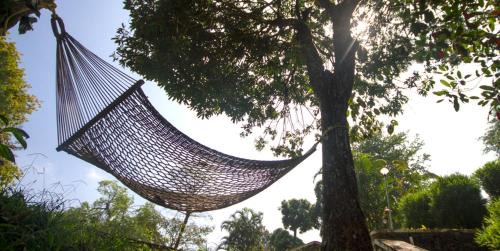Kakabe Complejo | Misty Woods Resort