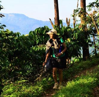 Kakabe Complejo | Misty Woods Resort
