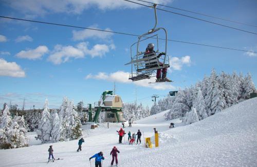 Snowshoe Apartamento | ML315 Budget Friendly Next To Slopes No Frills AFFORDABLE