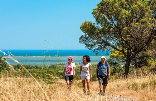 Vic-la-Gardiole Casa | Mobil-Home 2 habitaciones camping 4 *