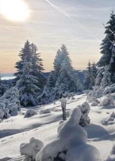 Munster Otro | Mobile home 6personnes ,Alsace , munster France