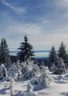 Munster Otro | Mobile home 6personnes ,Alsace , munster France