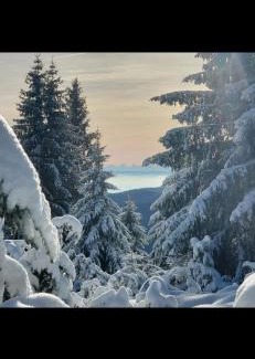 Munster Otro | Mobile home 6personnes ,Alsace , munster France