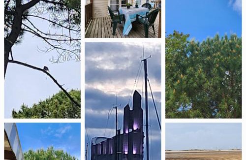 Les Mathes Complejo | Mobile-home Bonne -Anse Plage