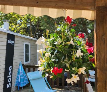 Les Mathes Complejo | Mobile-home Bonne -Anse Plage