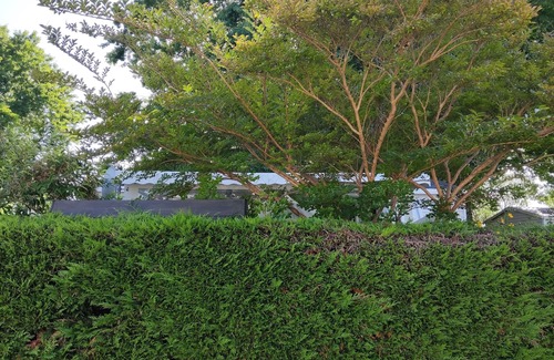 Aureilhan Casa | Mobile home in a shady campsite on the shores of Lake Aureilhan Camping Marvilla****