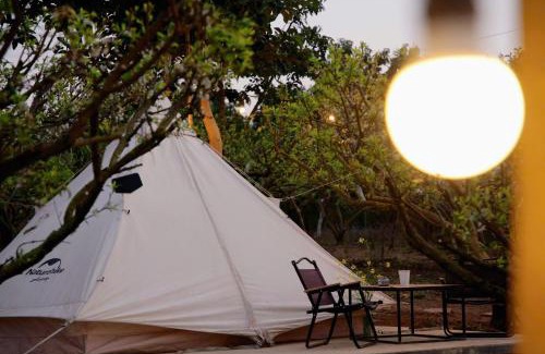 Moc Chau Otro | Moc Chau Campfire - Vườn tôi chiều tím
