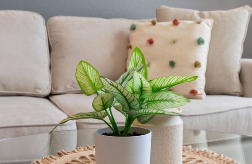 Mint Hill Apartamento | Modern Apartment in Prime Location (ID2615X3)