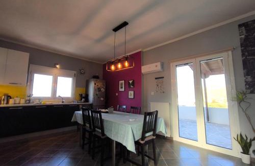 Gavrio Apartamento | Modern big house in the port of Andros