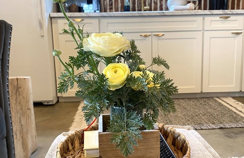 Ochlocknee Apartamento | Modern, cozy, Studio Apartment