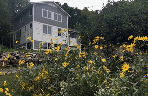Camden Casa | Modern, Light-filled, Quiet Home within 5 Minute Walk to Harbor and Beach