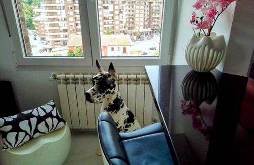 Solares Apartamento | Loft moderno de lujo recién reformado