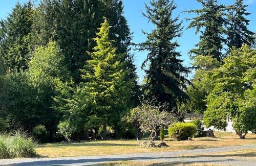 Marysville Complejo | Modern Studio in MarysVille A Forest Haven