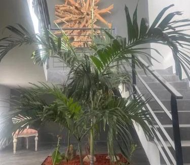 Upper Prince's Quarter Villa | Modern Villa in Philipsburg with 450 m² and Pool