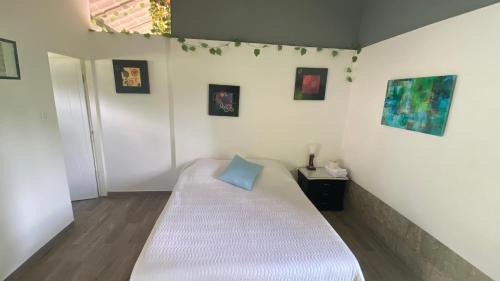 San Antonio del Tequendama Casa | Moderna cabaña en medio de la naturaleza