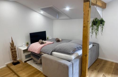 Bernau am Chiemsee Apartamento | Modernes Apartment mit Balkon zwischen Chiemsee und Kampenwand