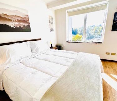 Osorno Apartamento | Moderno departamento en Osorno