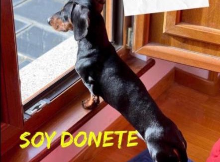 Figueras (Castropol) Apartamento | MODERNO PISO CON LA MEJOR TERRAZA DE RIBADEO Y VISTAS MARAVILLOSAS