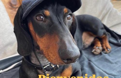 Figueras (Castropol) Apartamento | MODERNO PISO CON LA MEJOR TERRAZA DE RIBADEO Y VISTAS MARAVILLOSAS