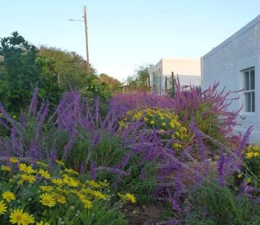 Calitzdorp Casa | Moira's Cottage