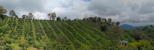 Cordoba Otro | MoiraEcolodge - Cabaña El Porvenir