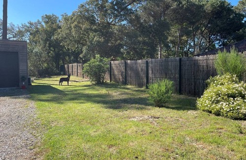 Moliets-et-Maa Casa | Moliets et Maâ, bonita casa a 4 km de la playa