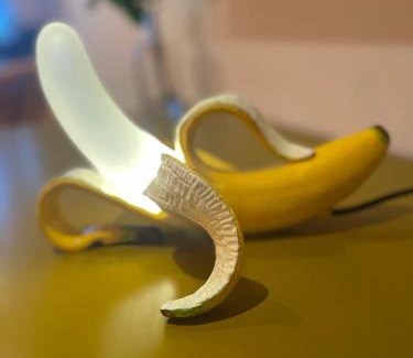 Schiedam Casa | Monkey Tree Stay