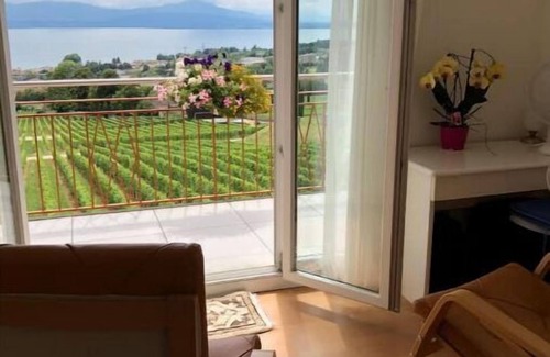 Mont-sur-Rolle Apartamento | Mont-sur-Rolle Apartment with panoramic view